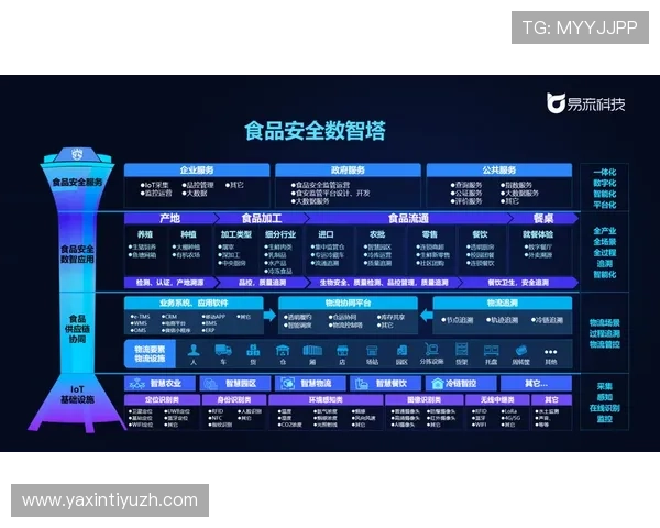 乐鱼官网平台助力体育娱乐产业发展，推动行业数字化转型