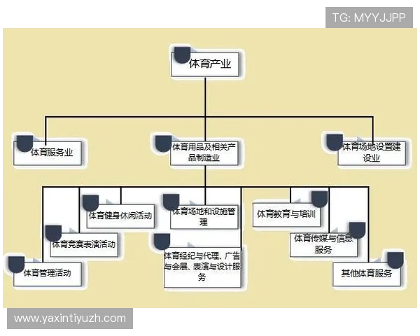 海星体育数字站助力体育产业链数字升级推动行业生态良性发展