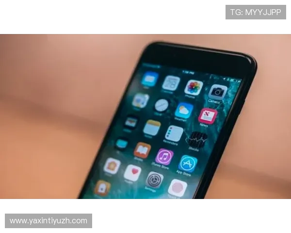 神殿app登录新手指南帮助新用户快速上手登录流程