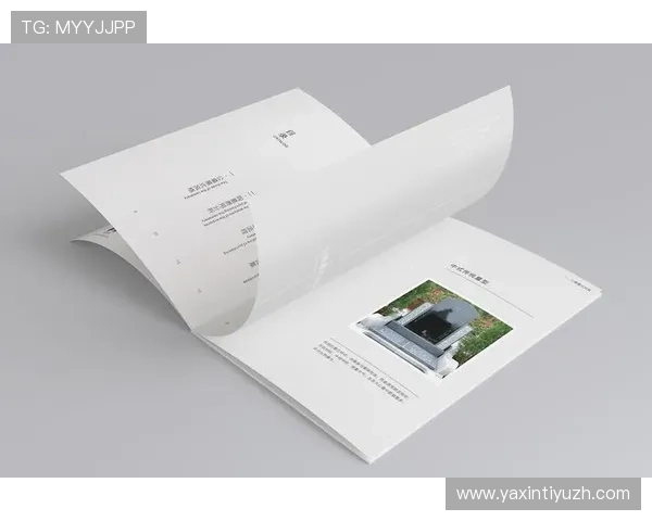 UED在线网页版官网全面介绍与最新版本下载指南