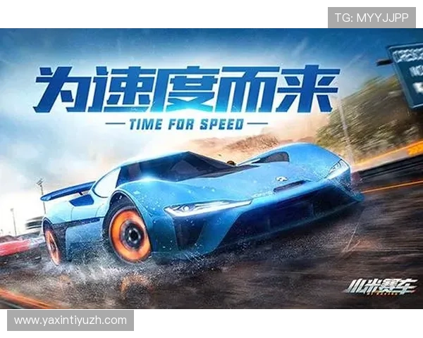 利用333体育官网平台的专业分析与攻略指南，提升你的游戏技巧和竞技水平